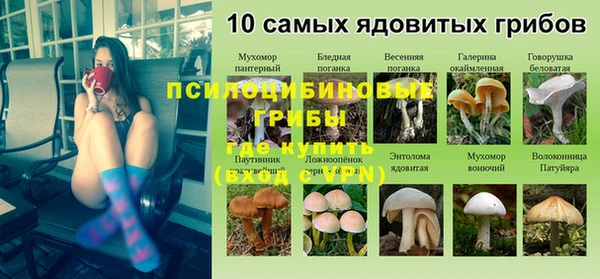 марки lsd Аркадак