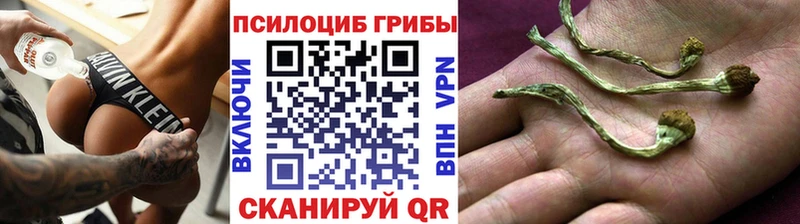 Галлюциногенные грибы прущие грибы Светлогорск